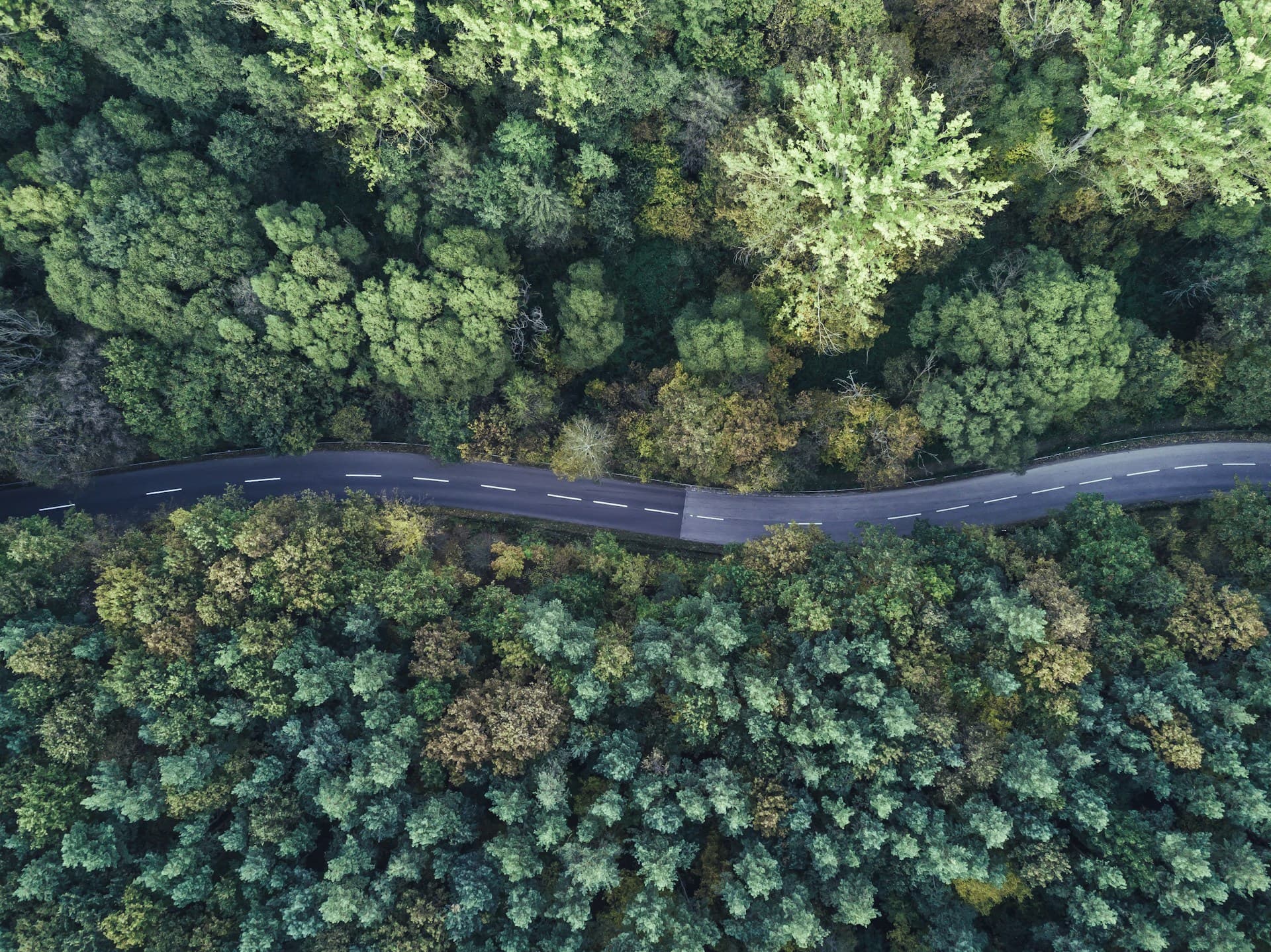 Why a lifecycle analysis matters for your business